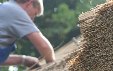 professional Huish Episcopi thatchers